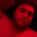 hwordbear